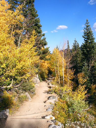 Trail to Nymph Lake