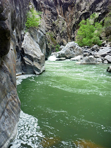 Green water