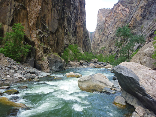 Trees and boulders alongside the Gunnison River