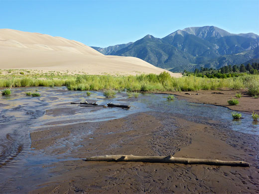 Medano Creek