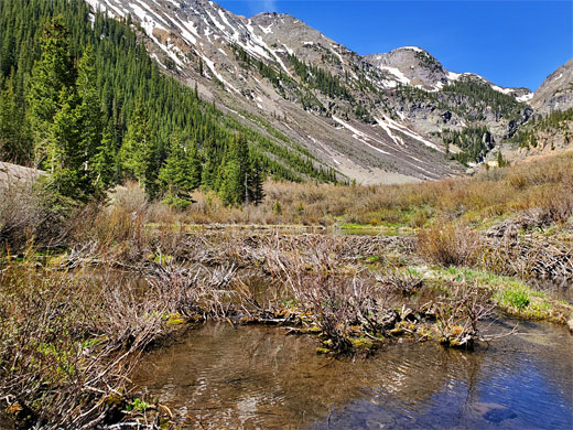 Beaver ponds