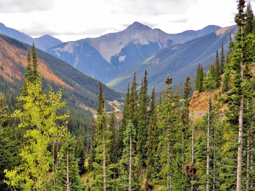 Valley of Mineral Creek