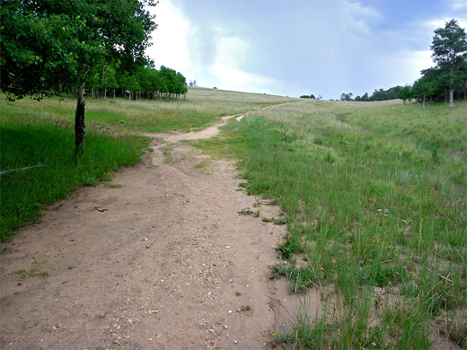 Grassland near the pass