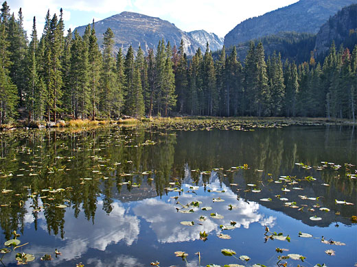 Nymph Lake