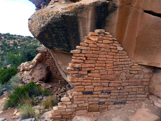 Wall remnants in Canyons of the Ancients NM