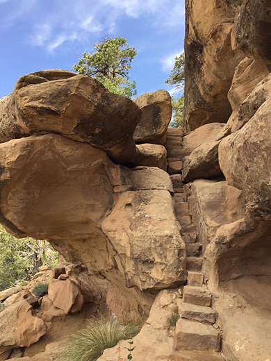 Steps along the Petroglyph Point Trail