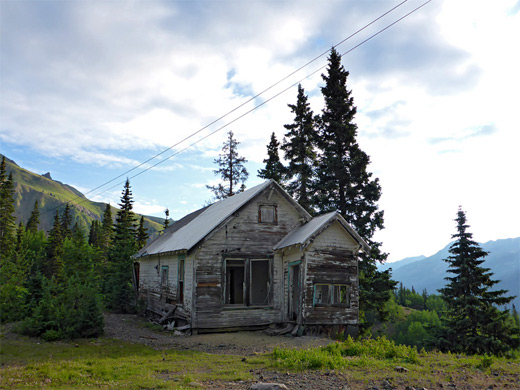 House, trees and telephone wires