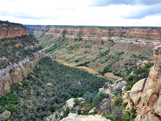 Rock Canyon and Wildhorse Mesa