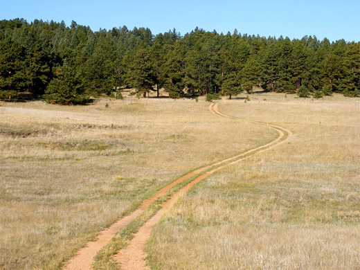 Sawmill Trail