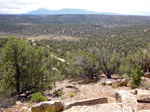 Sleeping Ute Mountain