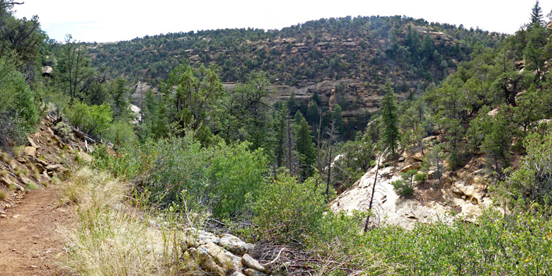 Path along a tributary