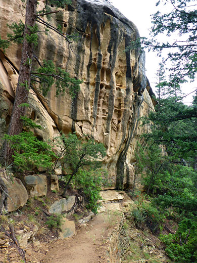 Textured cliffs