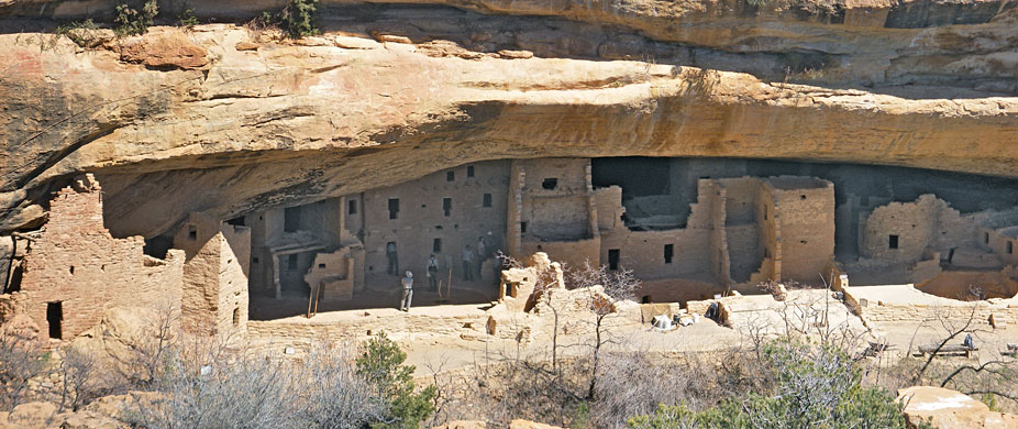 Spruce Tree House