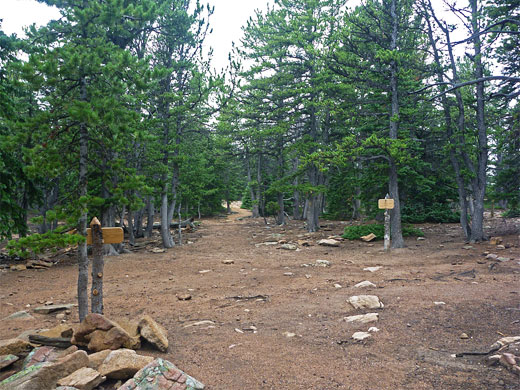 Storm Pass