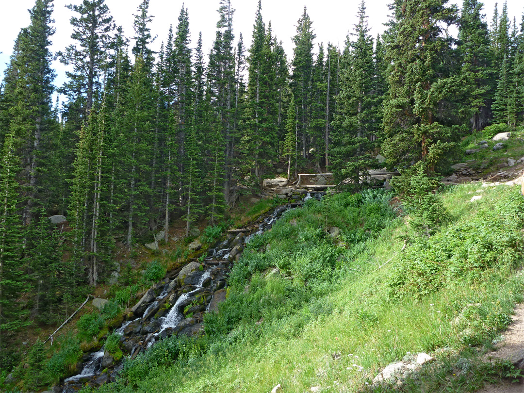 Alpine Brook