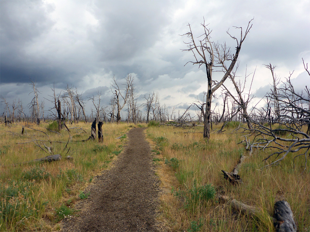 Badger House Trail