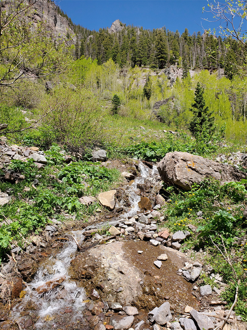 Tributary stream