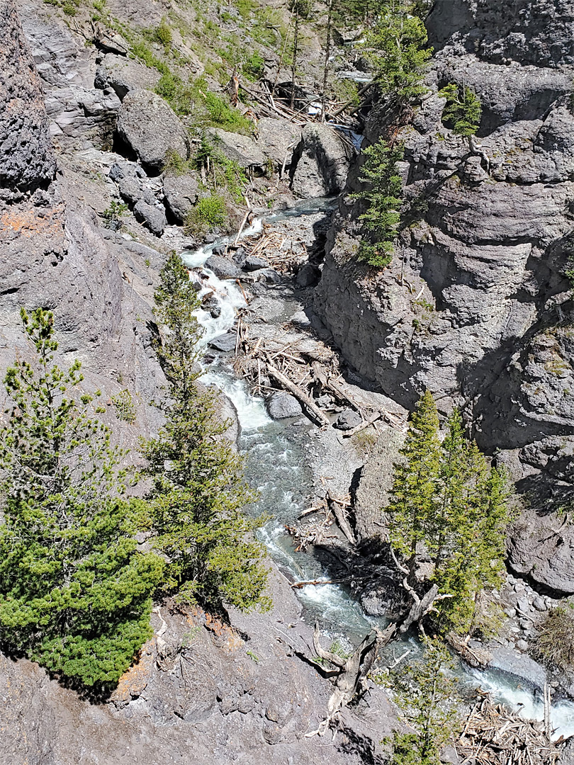 Bear Creek