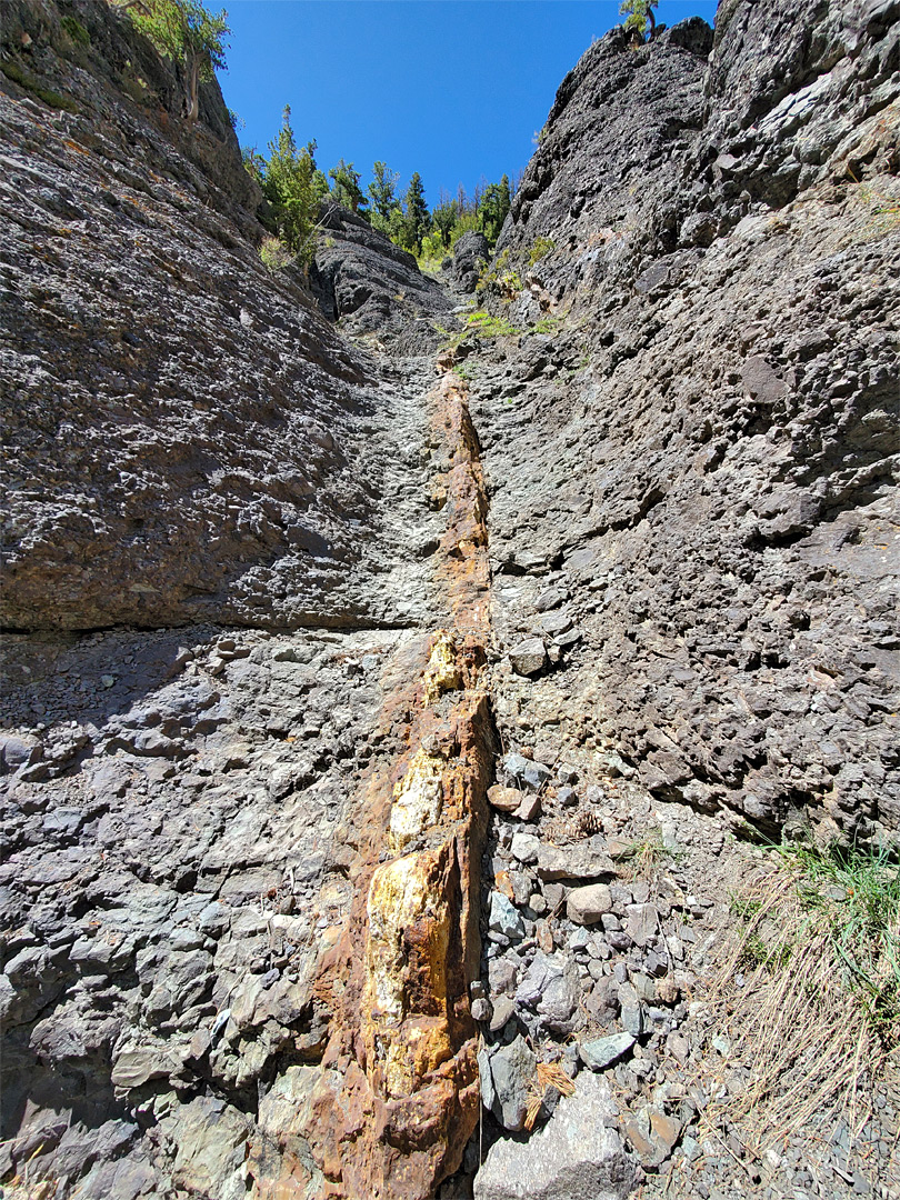 Mineralized vein