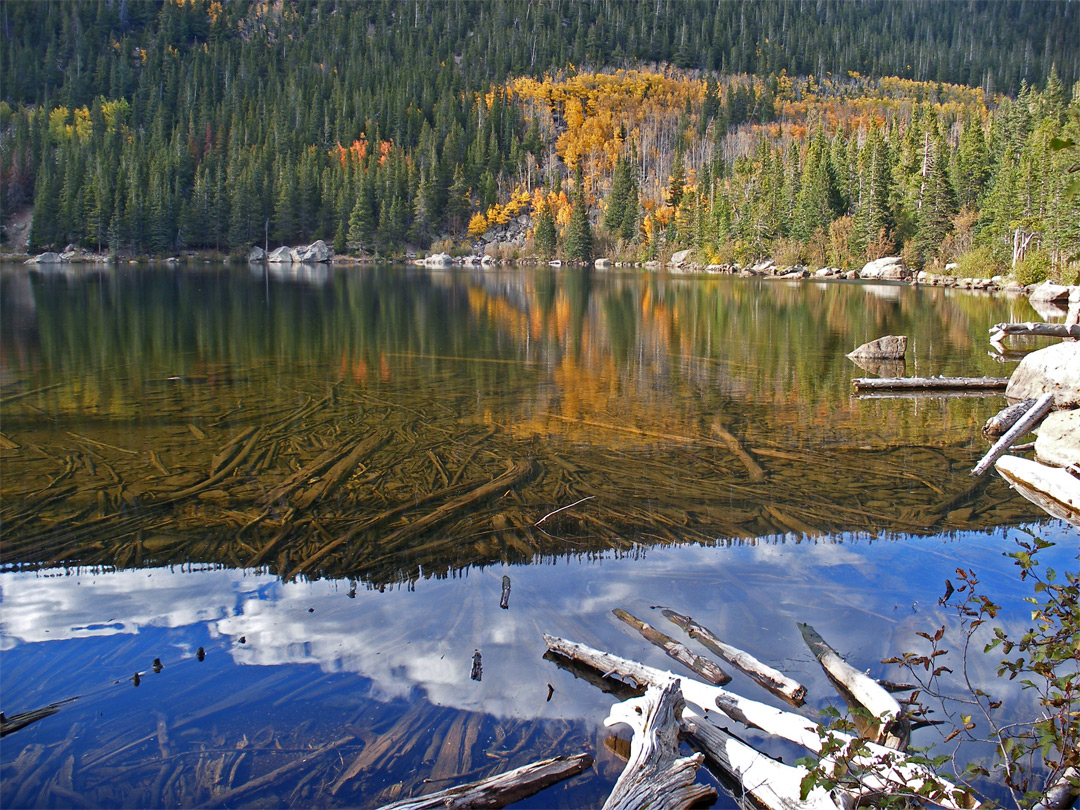 Reflections on Bear Lake