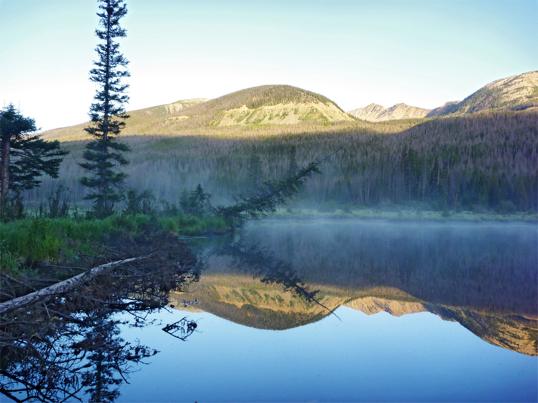 Reflections on a beaver pond