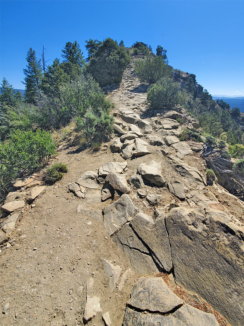 Ridgeline trail