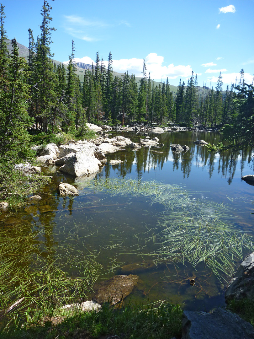 Shore of Chipmunk Lake