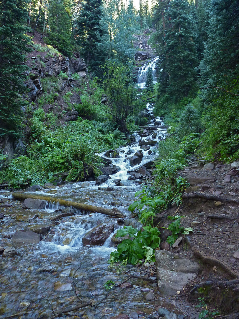 Woodland stream