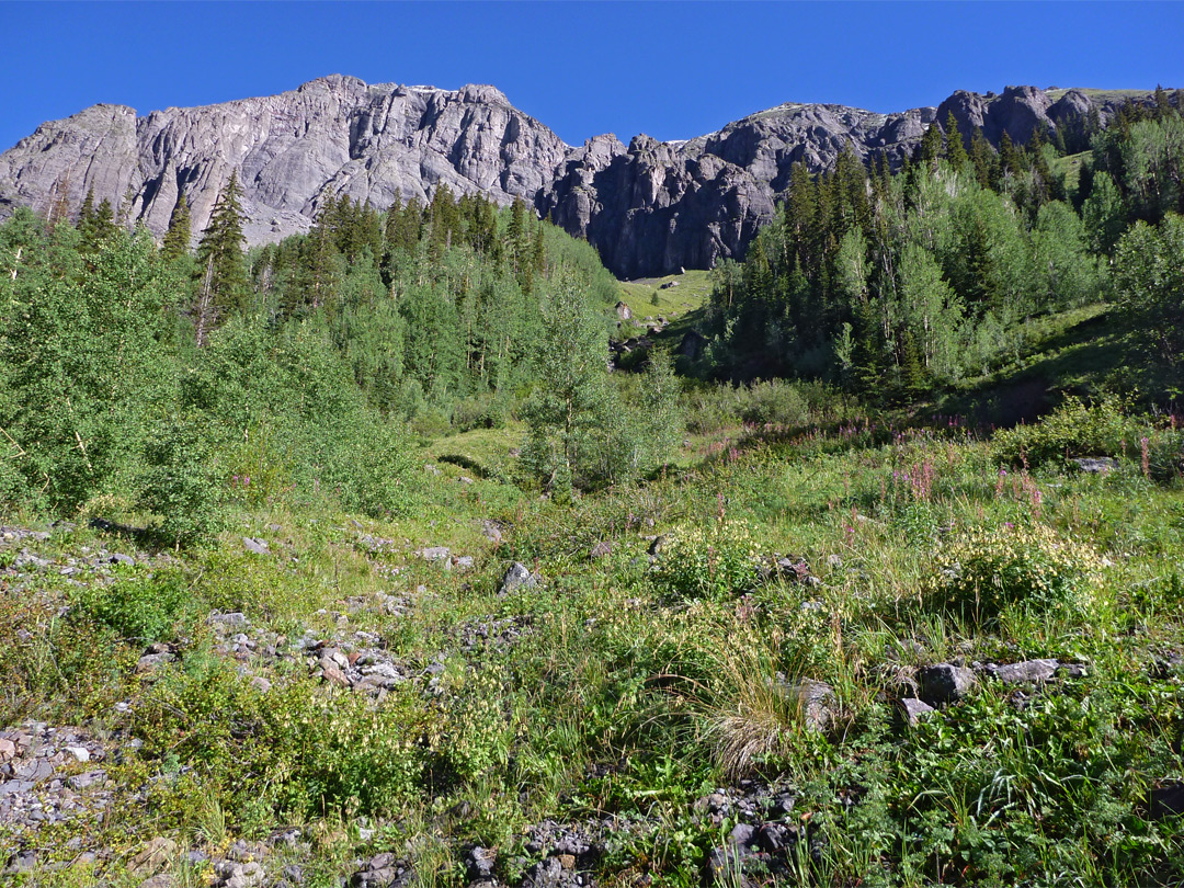 Grassy hillside