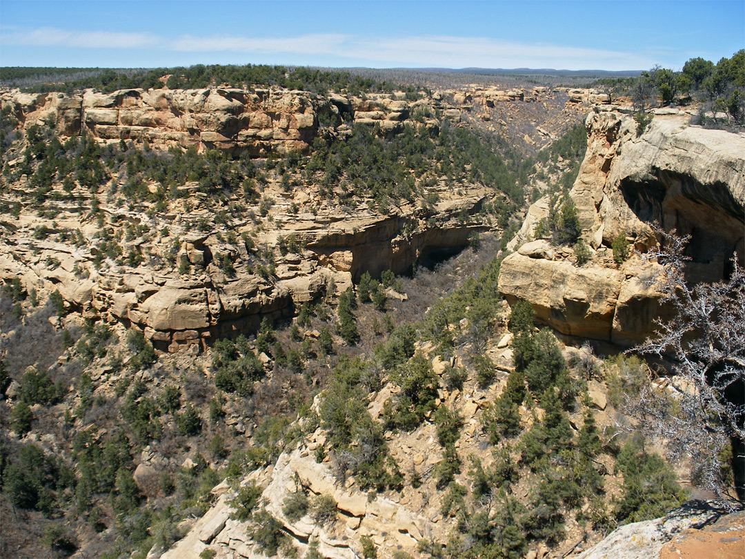 Cliff Canyon