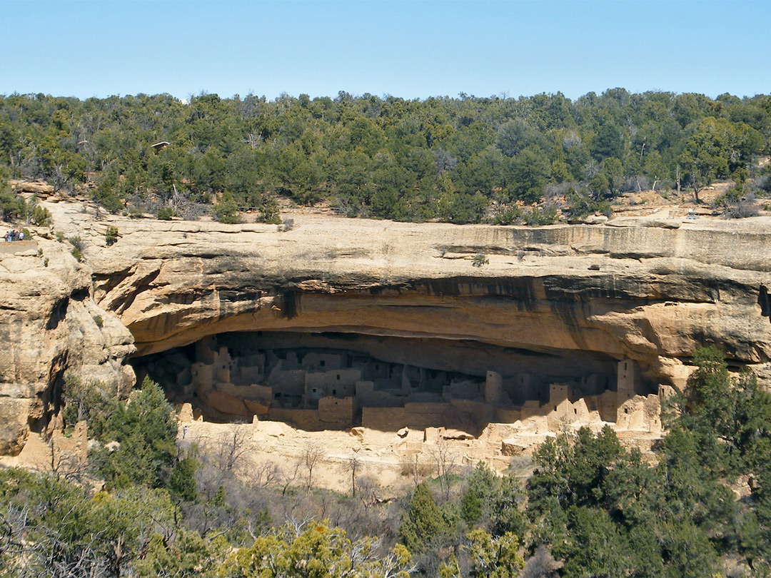 Cliff Palace overlook