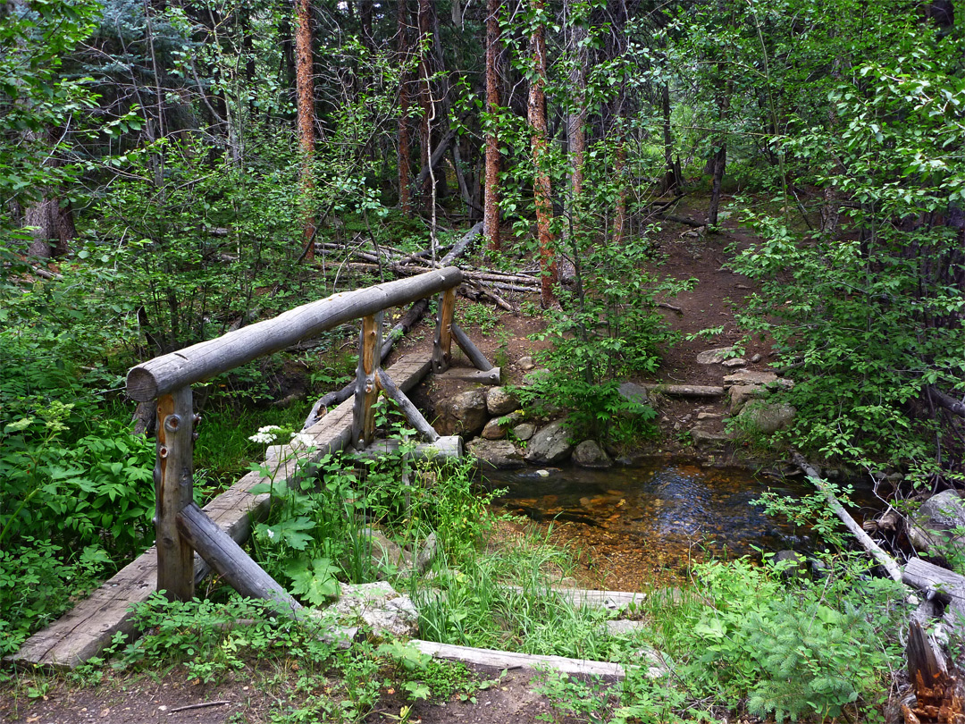 Tributary of Cow Creek