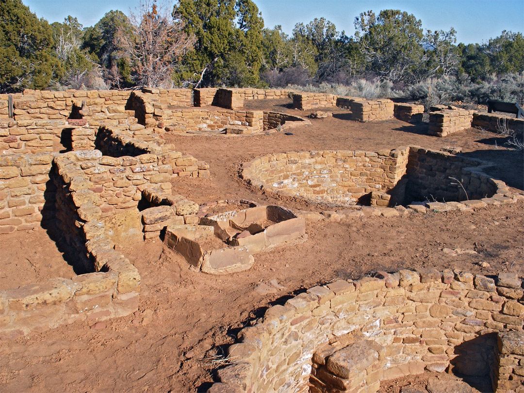 Coyote Village