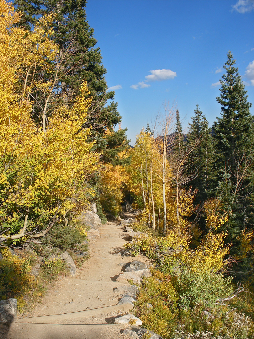 Trail to Nymph Lake