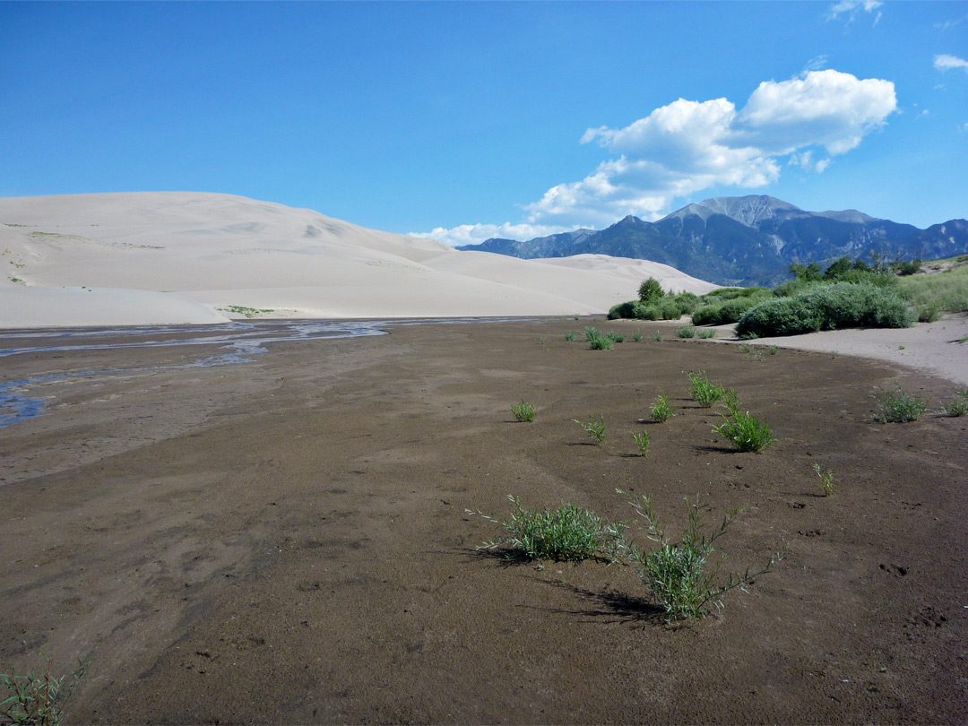 End of Medano Creek