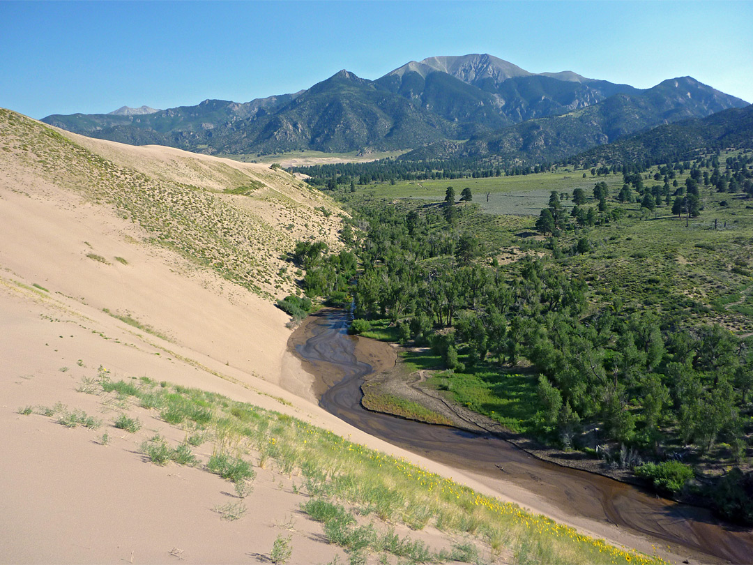 Edge of the dunes