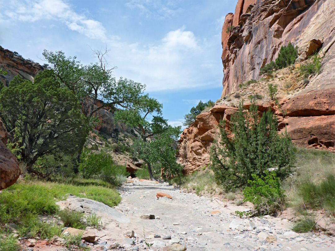 Dry streambed