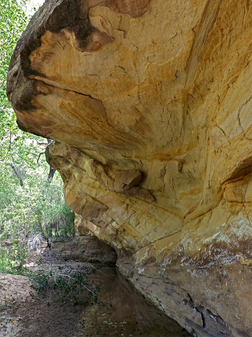 cliff yellow multi