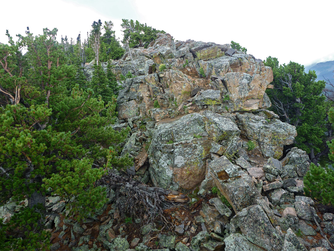 Mottled granite