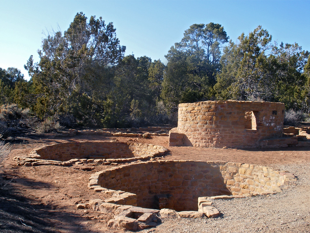 Far View Tower