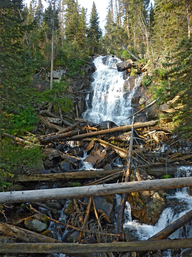 Fern Falls