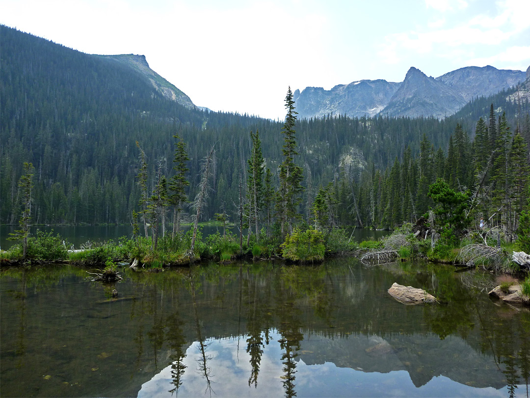 Pond by Fern Lake