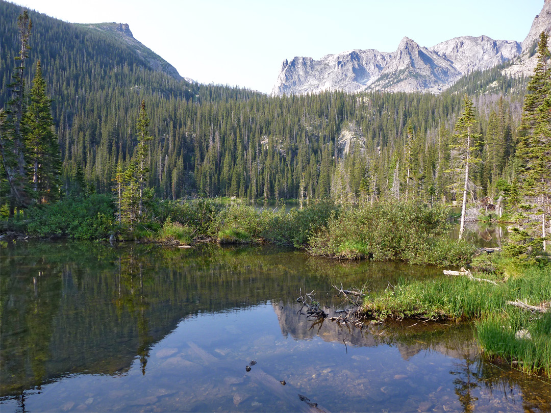 Reflections on a pond