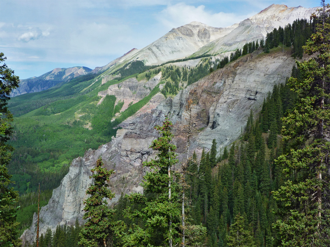 Cliffs and trees