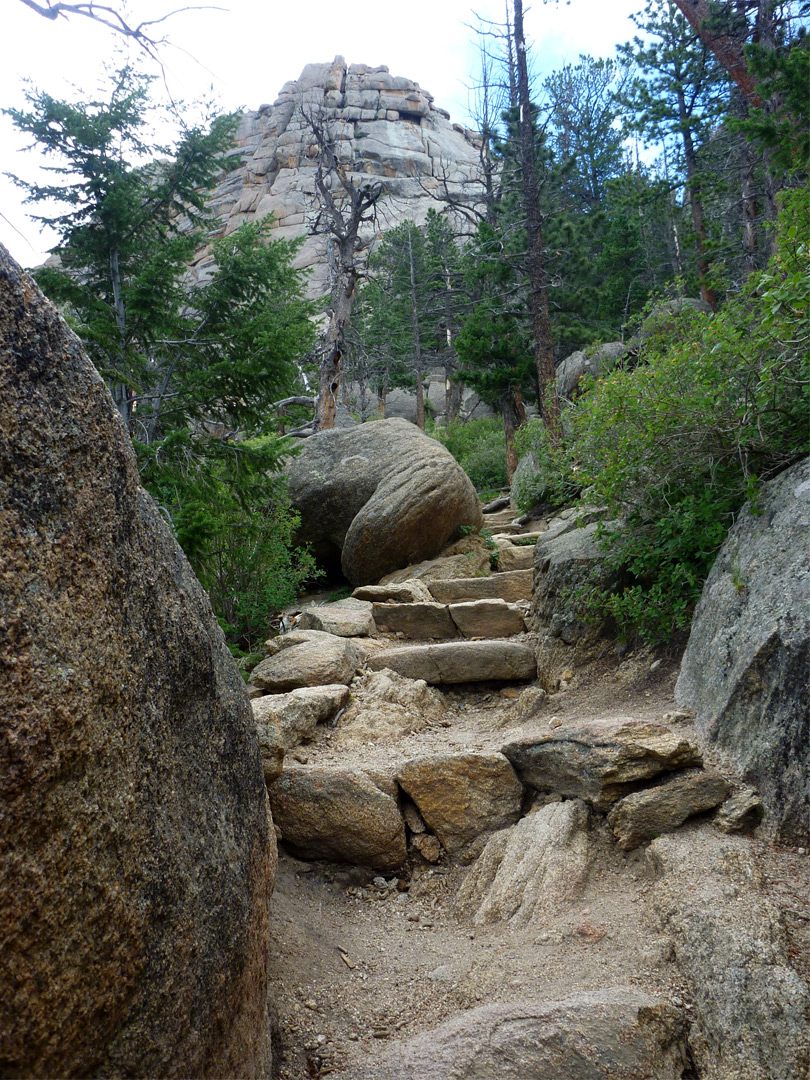 Steps on the trail