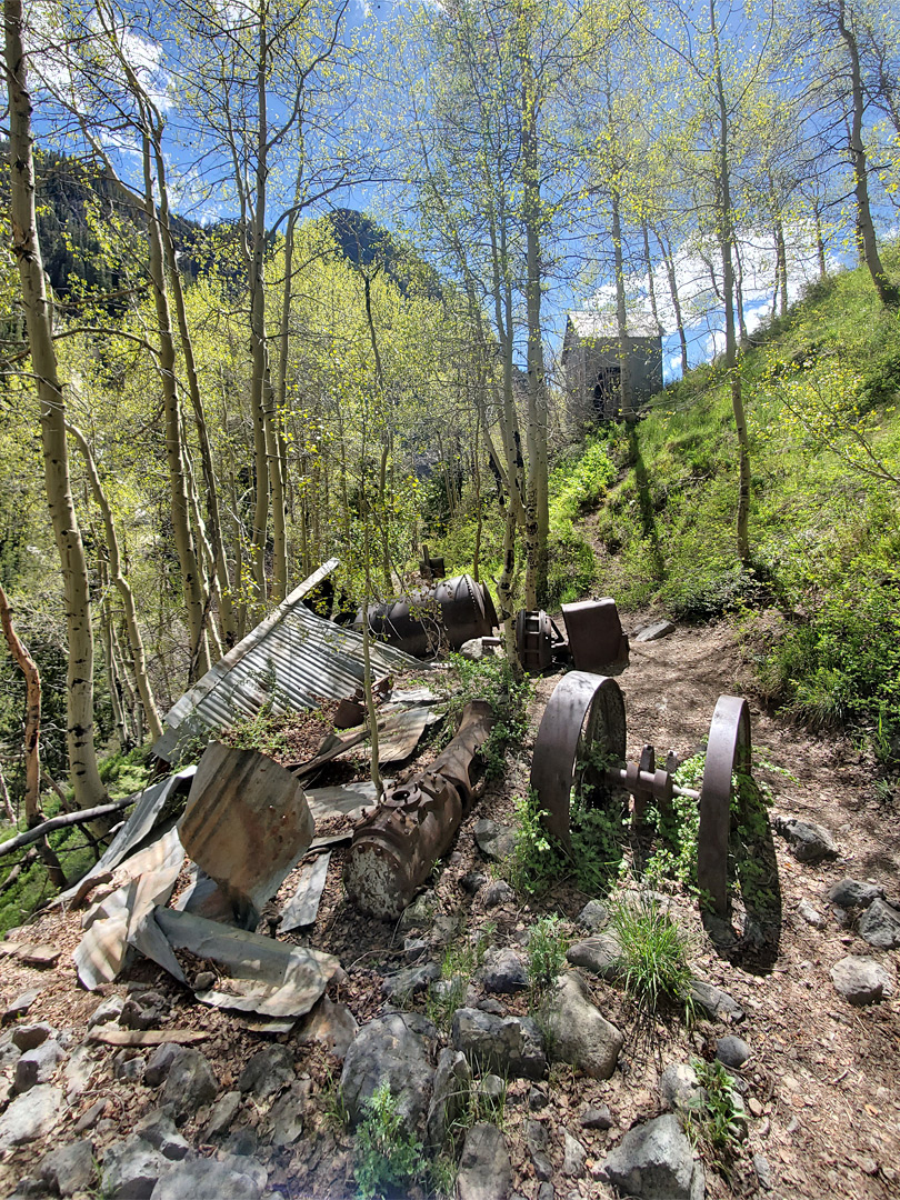 Grizzly Bear Mine
