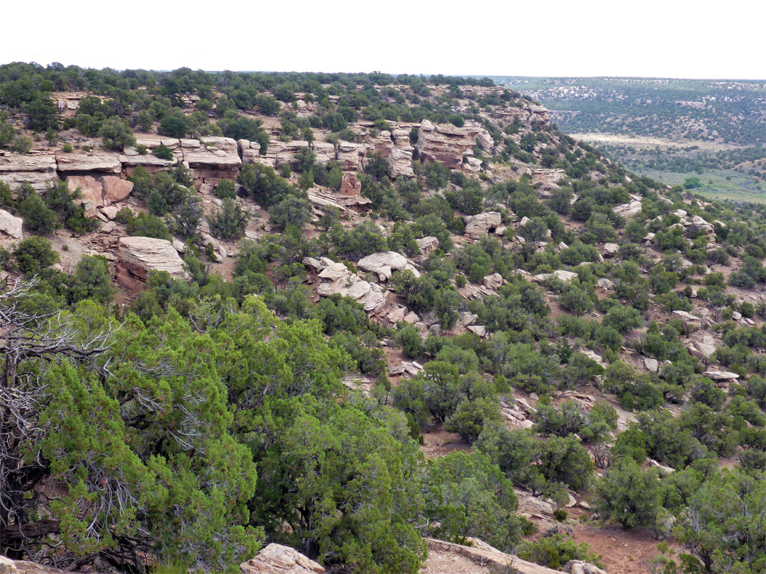 Hovenweep Canyon