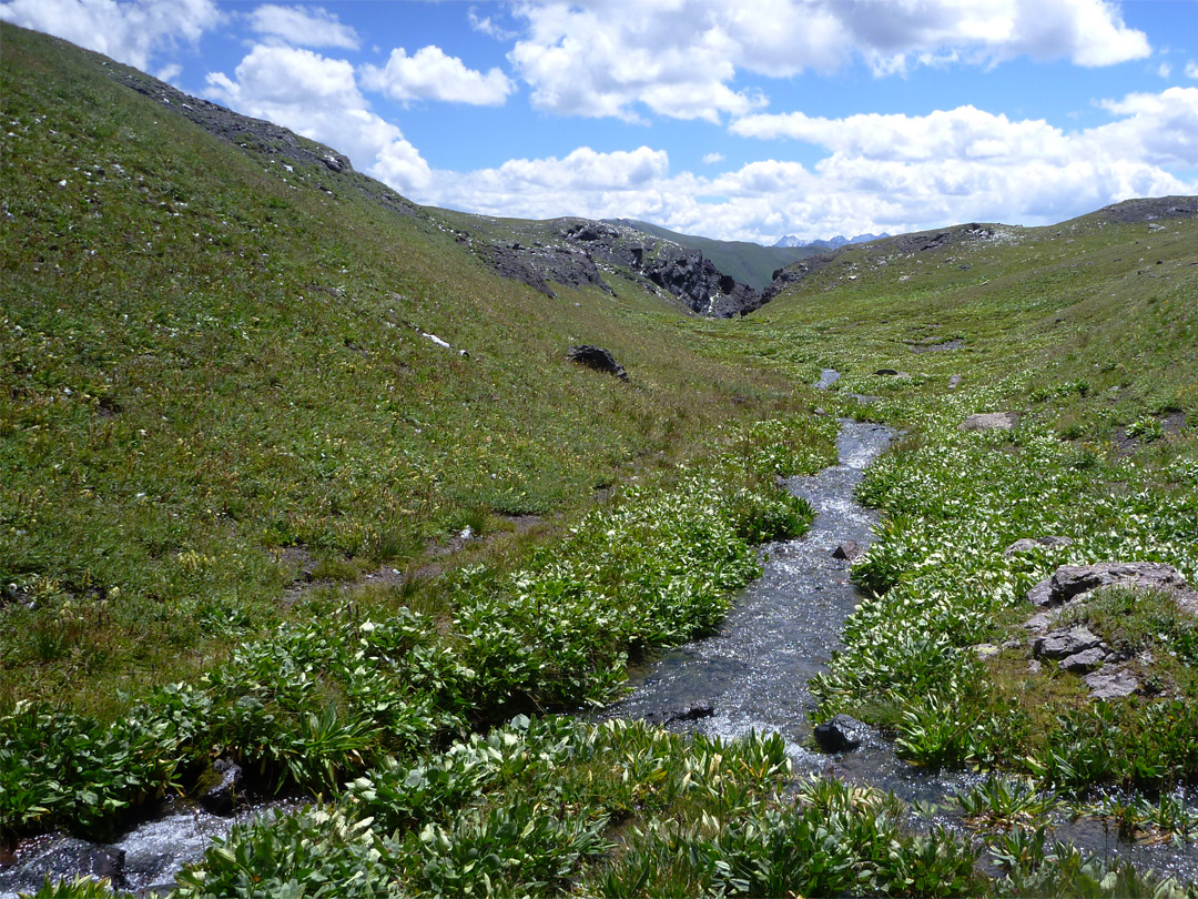 Exit stream from Island Lake