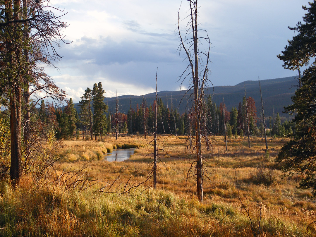 Kawuneeche Valley