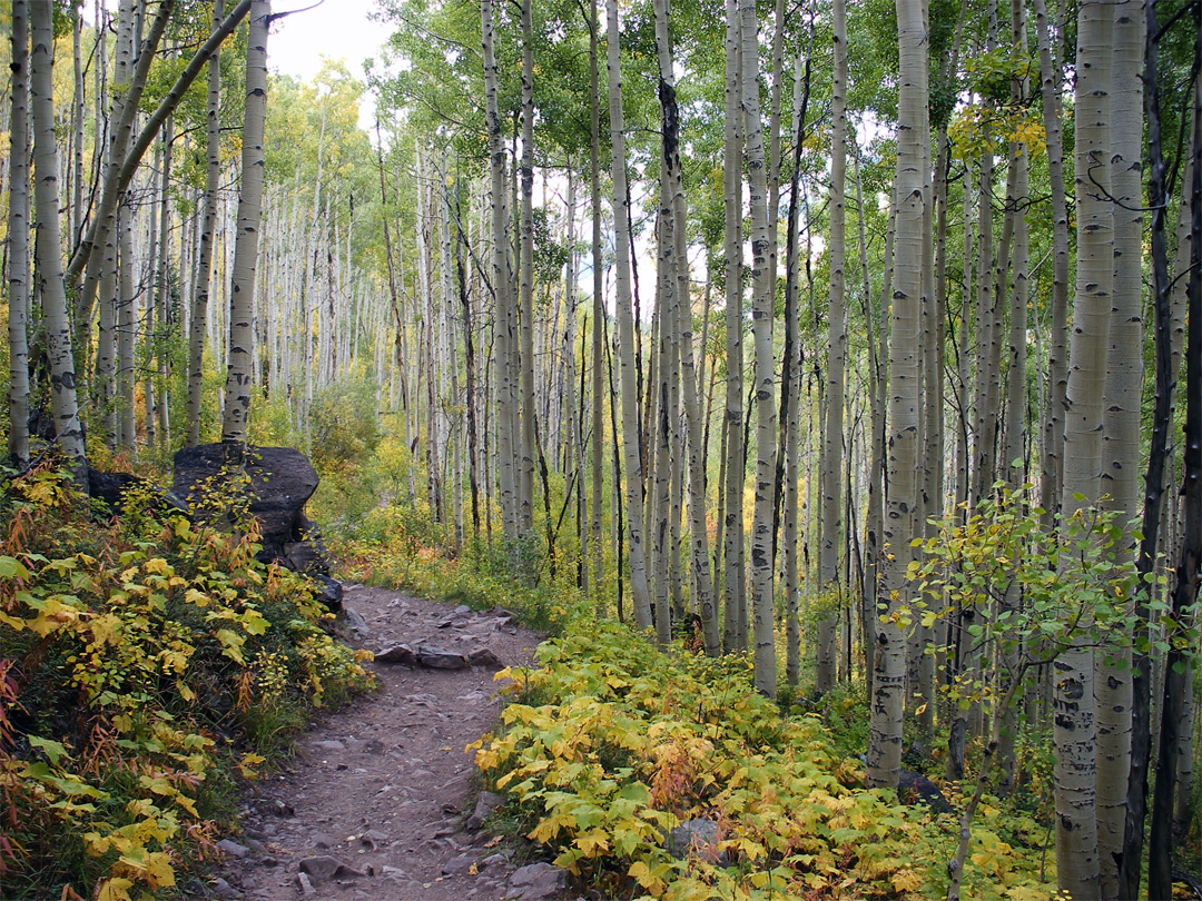 Crater Lake Trail